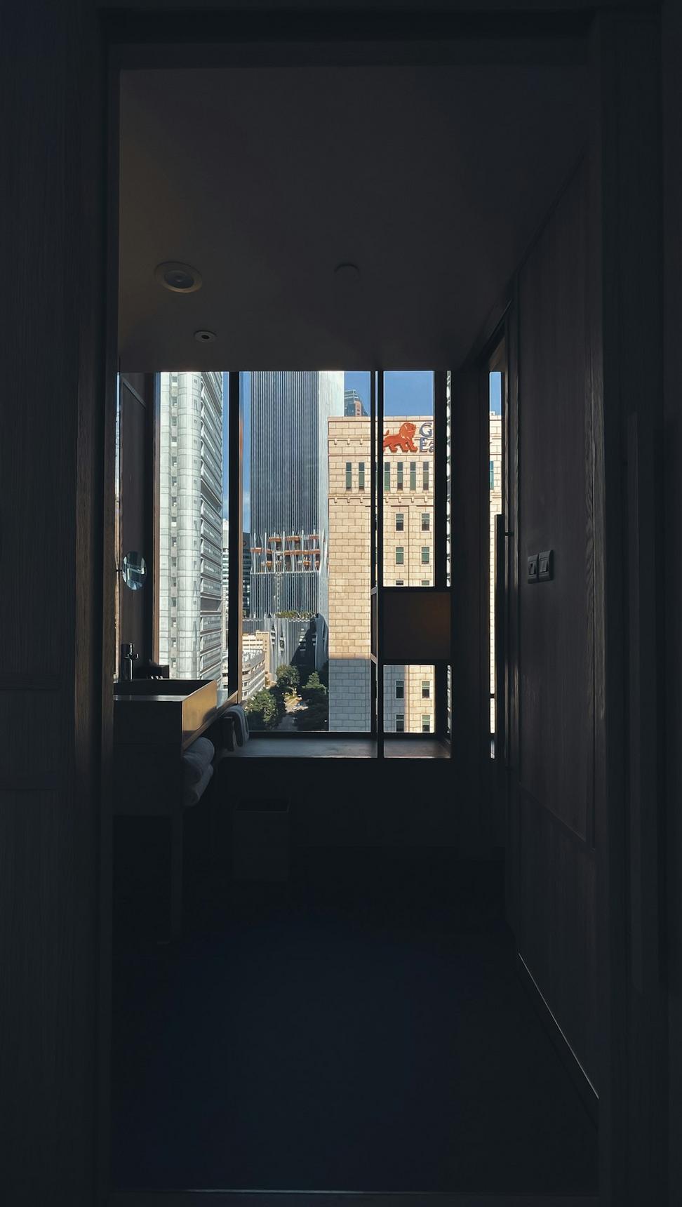 Premium City View